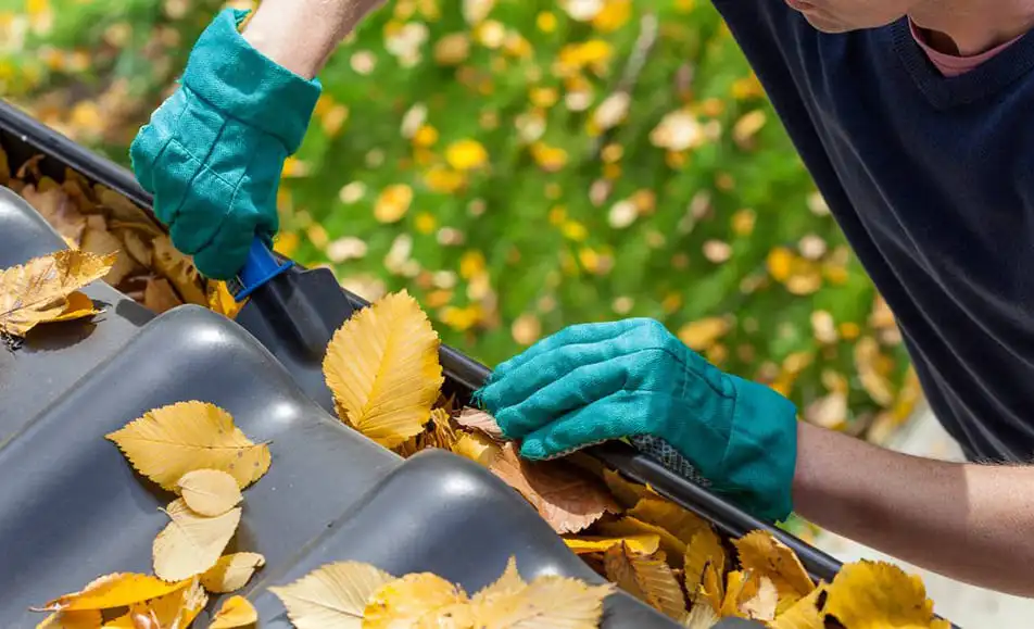 A person cleaning the grass from the roof of the house